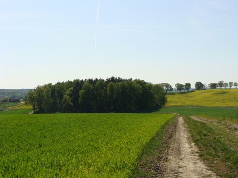 krajobraz 29